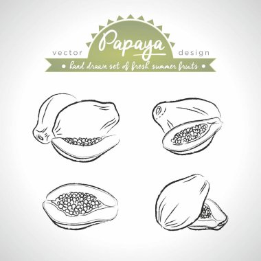 Yaprak ile taze meyve Papaya Koleksiyonu. Vektör illüstrasyon. Izole