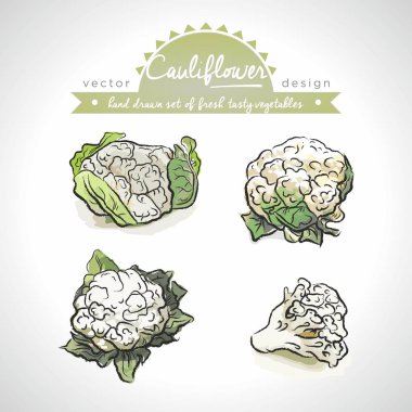 Yaprak lı taze sebzelerkarnabahar koleksiyonu. Vektör illüstrasyon. Izole