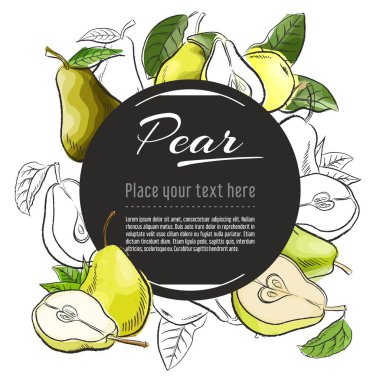 Beyaz arka plan üzerinde Vektör kroki Armut afiş. Metin için yer. El çizimi meyve grafik tasarımı