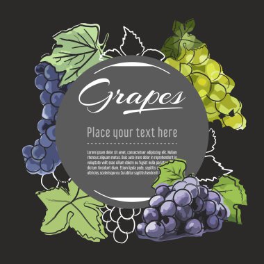 grapes vector hand drawn healthy food illustration. Fruit design with sketch elements for banner, greeting card clipart