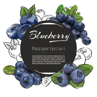 Beyaz arka plan üzerinde vektör kroki yaban mersini afiş. Metin için yer. El çizimi meyve grafik tasarımı