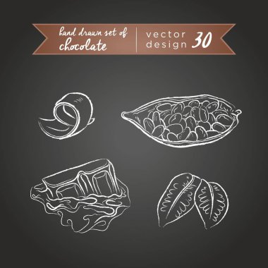 Çikolata. Kakao ürünleri seti, bütün, yarım ve yaprak ile ısırılı. Vektör illüstrasyon. Tahtaüzerinde izole