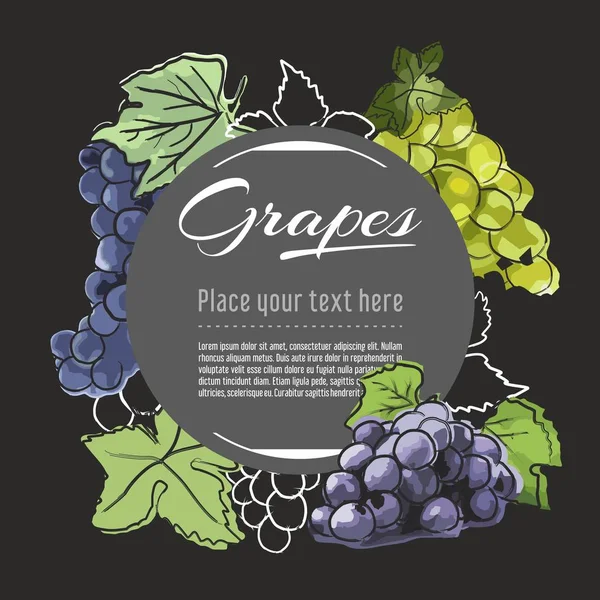 grapes vector hand drawn healthy food illustration. Fruit design with sketch elements for banner, greeting card