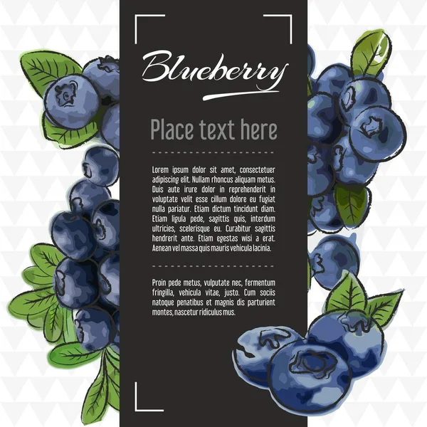 Blueberry Fruit Vector Menu Ontwerpsjablonen Vector Fruit Illustratie Met Hand — Stockvector