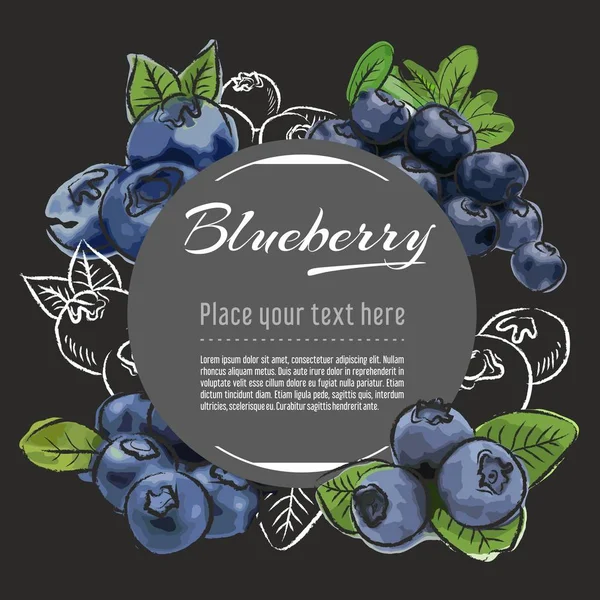 Blueberry Vector Hand Getrokken Gezond Voedsel Illustratie Fruit Design Met — Stockvector