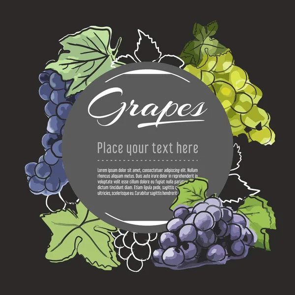 Uvas Vector Dibujado Mano Alimentación Saludable Ilustración Diseño Fruta Con — Archivo Imágenes Vectoriales