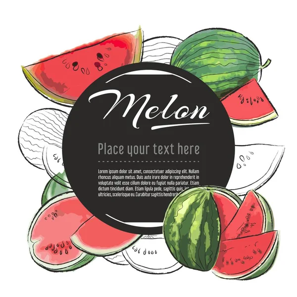 Vektorskizze Melonen Banner Auf Weißem Hintergrund Mit Platz Für Text — Stockvektor