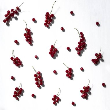 beyaz zemin üzerine kırmızı kuş üzümü desen twigs ve çilek kare yaz