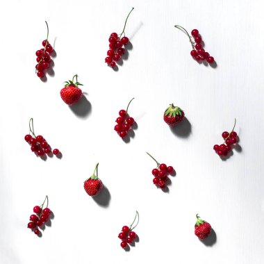 Beyaz arka plan kırmızı kuş üzümü desen twigs ve çilek çilek yaz kare