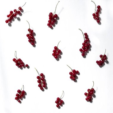 beyaz zemin üzerine kırmızı kuş üzümü desen twigs ve çilek kare yaz