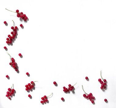 beyaz bir arka plan üzerinde bir çerçeve kenarı ile ve aşağıdan yalan çilek ve dal frenk üzümü kırmızı desen kopya alanı