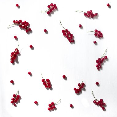 beyaz zemin üzerine kırmızı kuş üzümü desen çırpı ve yazıt yer yaz kopya alanı çilek