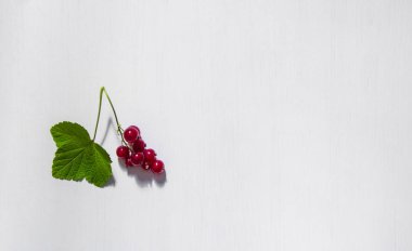 bir beyaz arka plan kırmızı frenk üzümü dal ve yaprak çilek yazıt yer izole kopya alanı üzerinde