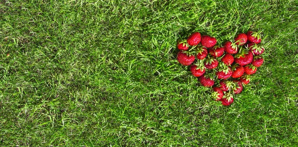 På det gröna gräset i vyn i hjärtat som jordgubb röda plats för inskriften platt låg — Stockfoto
