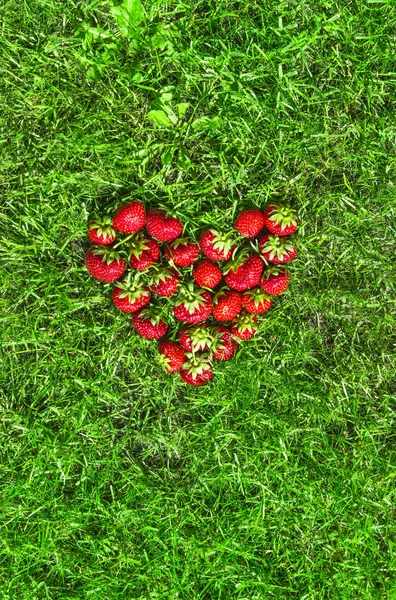 På det gröna gräset i vyn i hjärtat som jordgubb röda plats för inskriften platt låg — Stockfoto