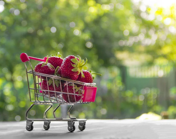 Na zeleném pozadí kolo bokeh vozík s bobule červené jahody místo nápis — Stock fotografie