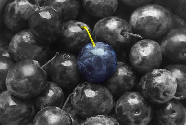 Arka plan doku Erik mavi rengi siyah beyaz tek renkli meyve meyve tatlı mat güzel üzerinde sulu — Stok fotoğraf