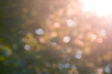 arka plan altın rengi bokeh sonbahar ışık ışınları güneş bulanık