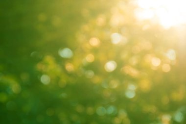 arka plan altın rengi bokeh sonbahar ışık ışınları güneş bulanık