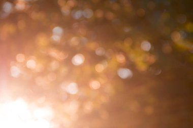 arka plan altın rengi bokeh sonbahar ışık ışınları güneş bulanık