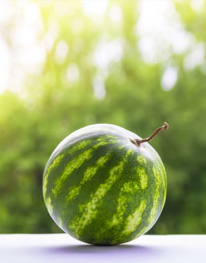 bir arka plan ve yeşil bokeh ağaçlarının koyu bir tablo ile bir kuyruk yuvarlak bir karpuz olduğunu