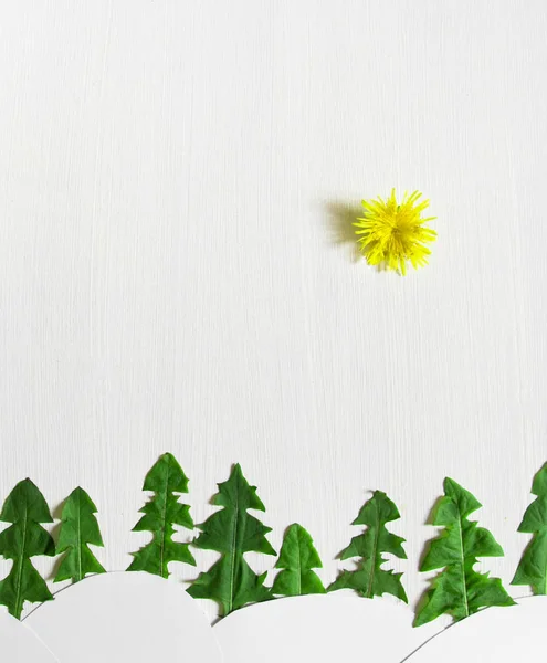 Sur un fond clair en arrière-plan une ligne d'arbres de Noël faite à partir de feuilles de pissenlit et de neige blanche dérive fleur de soleil appliquer l'espace de copie des enfants — Photo