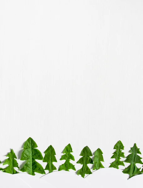 Sur un fond clair en arrière-plan une ligne d'arbres de Noël faite à partir de feuilles de pissenlit et de neige blanche dérive fleur de tournesol applique enfants — Photo
