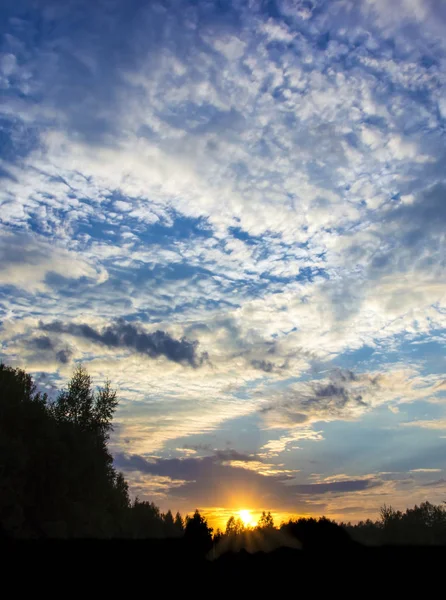 Coucher de soleil ciel coucher soleil beau nuages forêt cadre — Photo