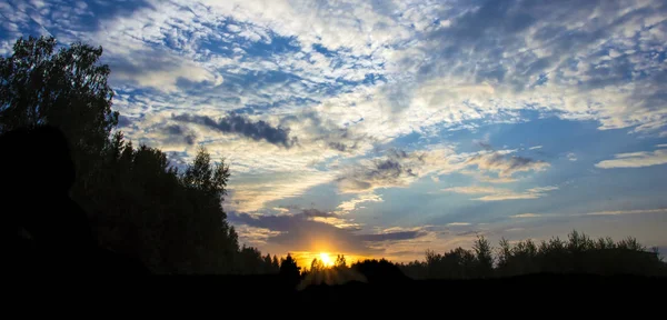 Puesta de sol cielo puesta sol hermoso bosque nubes marco — Foto de Stock