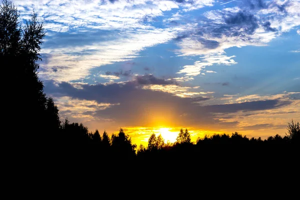 Puesta de sol cielo puesta sol hermoso bosque nubes marco — Foto de Stock