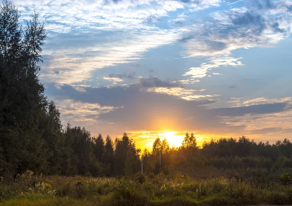 Coucher de soleil ciel coucher soleil beau nuages forêt cadre — Photo