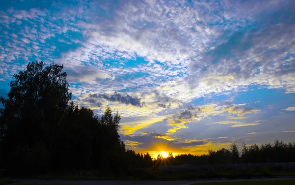 Puesta de sol cielo puesta sol hermoso bosque nubes marco — Foto de Stock