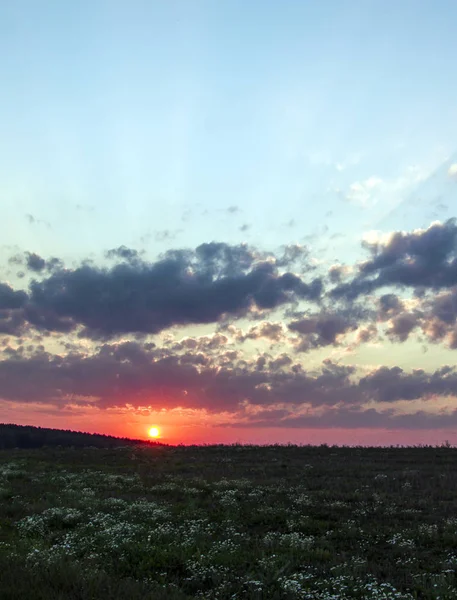 Atardecer amanecer rayos de sol sobre la ciudad cielo campo flores — Foto de Stock