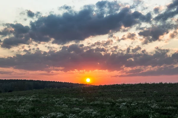 Coucher de soleil aube rayons du soleil sur la ville ciel champ fleurs — Photo