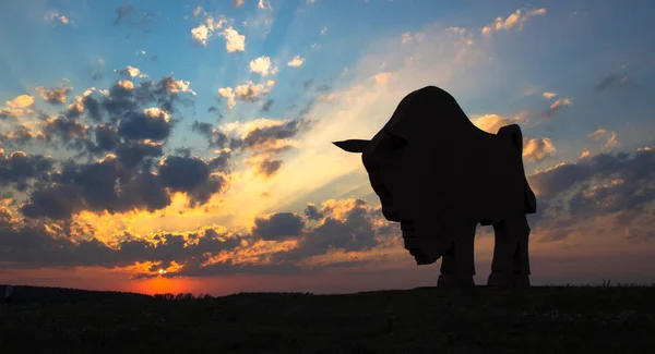 Atardecer amanecer rayos de sol sobre la ciudad cielo campo estatua bisonte escultura silueta — Foto de Stock