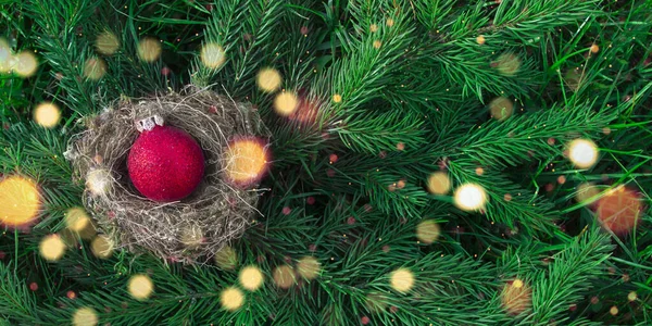 Spruce Branches Nest Christmas Tree Toy Red Ball Sparkles — Stock Photo, Image