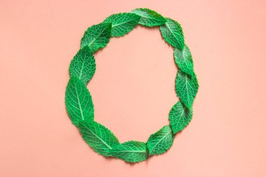 Nazik pembe bir arkaplanda alfabe var. Naneli Melissa 'nın yapraklarından gelen O harfi.