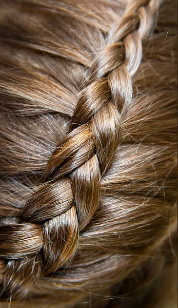 French Braid Contrary Braided Dark Long Shiny Healthy Hair Hairstyle — Stock Photo, Image