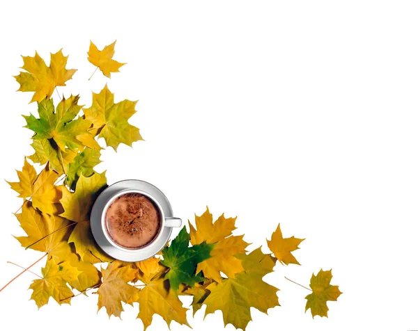 明るい秋の黄色の葉の上にテーブルの上に泡とコーヒーのフラットレイアウトカップを隔離する — ストック写真