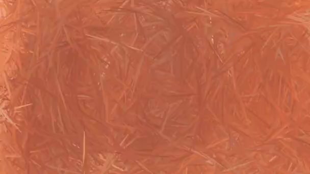 Beau Grunge Abstrait Fond Time Lapse Stop Motion — Video