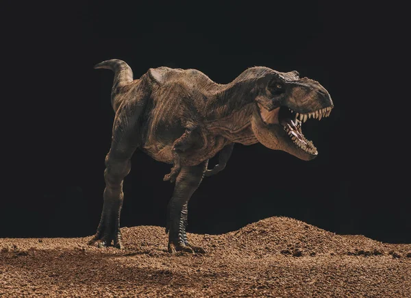 Tyrannosaurus rex izole siyah arka plan