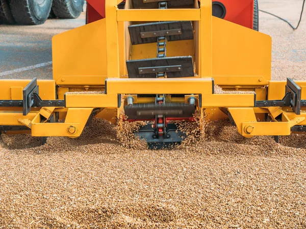 Modern gandum loader dan pemisahan mesin pertanian kendaraan, mesin pertanian musuh bekerja dengan panen — Stok Foto