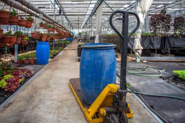 Modern sera kreş ya glasshouse, endüstriyel Bahçe bitkileri, süs bitkileri ve çiçek fidesi tarımı