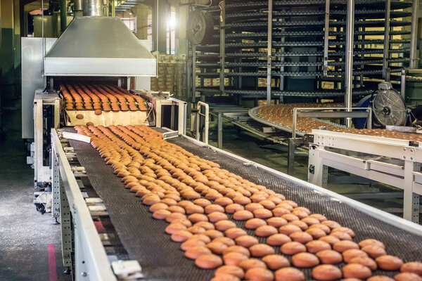 Conveyor belt in confectionery factory. Production line of baking cookies