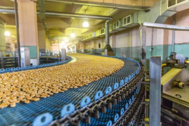 Kurabiye pişirme üretim hattı. Bisküvi Şekerleme fabrikası, gıda sanayi konveyör bant üzerinde