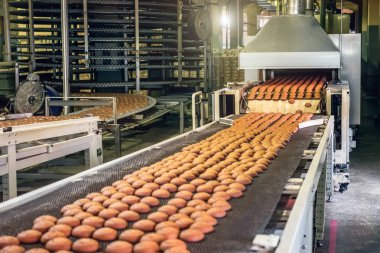 Kurabiye pişirme üretim hattı. Bisküvi Şekerleme fabrikası, gıda sanayi konveyör bant üzerinde