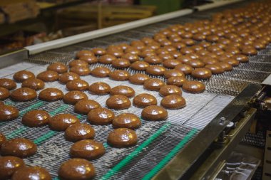 Gingerbread konveyör bant üzerinde cam sürecinde. Şekerleme fabrikası. Kurabiye pişirme üretim hattı
