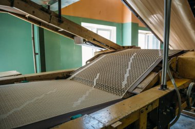 Konveyör şekerlemeler bitki, çerezler, yapımı ekmek yapmak için hamur satırında otomatik