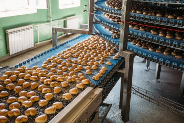Konveyör bant ekipman makineleri Konfeksiyon fabrikası atölye üzerinde tatlı kurabiye ile otomatik ekmek üretim hattı