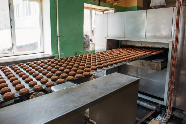 甘いクッキー菓子工場ワーク ショップでコンベア ベルト装置機械を使用自動ベーカリー生産ライン — ストック写真